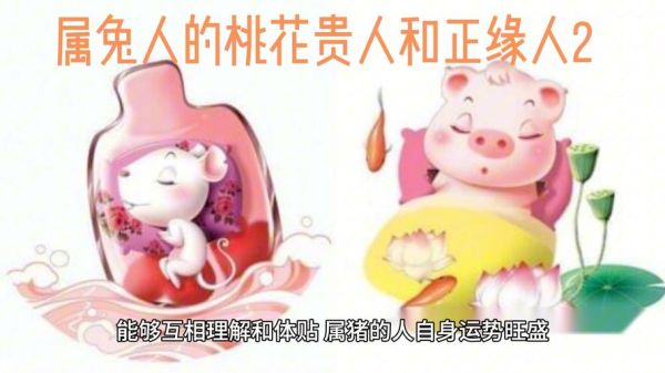 生肖兔的桃花属相（生肖兔的正缘桃花属相是哪些）