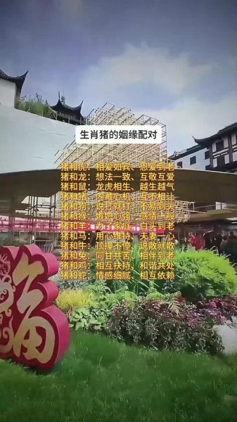 生肖猪应避免什么属相（生肖猪最忌三大属相配对）