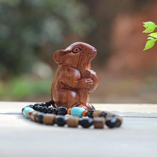 老挝属相都有什么生肖（老挝属相与中国有什么不同？）