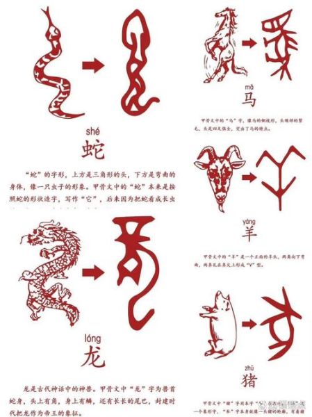 甲骨文的十二生肖属相图（甲骨文的十二生肖属相图长什么样？）