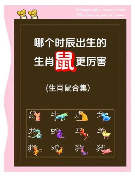 什么属相的人宠生肖鼠（什么属相的人最宠生肖鼠）