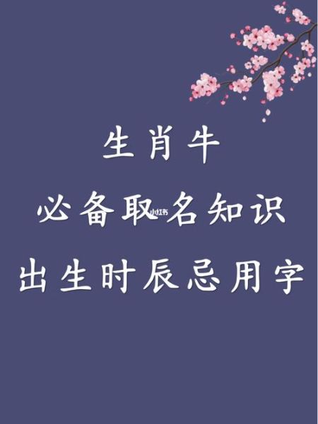 牛生肖婚配属相（牛生肖和什么属相最配）