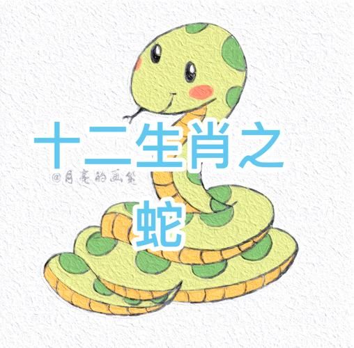 生肖蛇都有几个属相（生肖蛇有几个属相？新手扫盲来了）