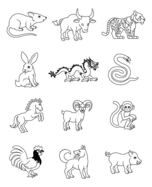 生肖属相图片简笔画（十二生肖简笔画步骤教程）
