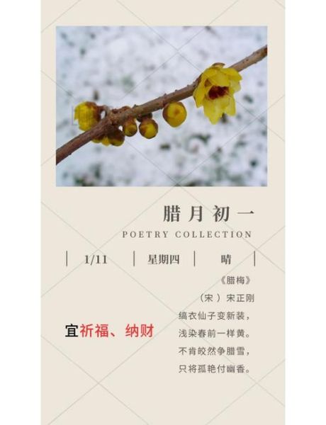 腊梅最佳生肖属相（腊梅属于什么生肖最旺）