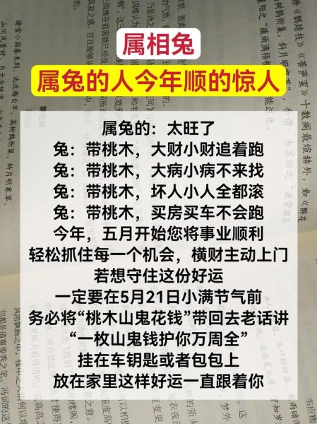 生肖兔最在意什么属相（生肖兔最合不来的三大属相❗避坑指南）