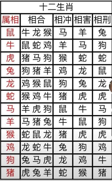 生肖属相运势2011（2011属兔全年运势解析）