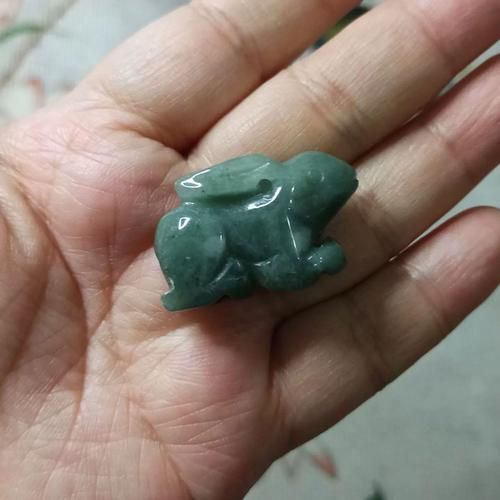 缅甸的生肖属相（缅甸的生肖属相有哪些？）