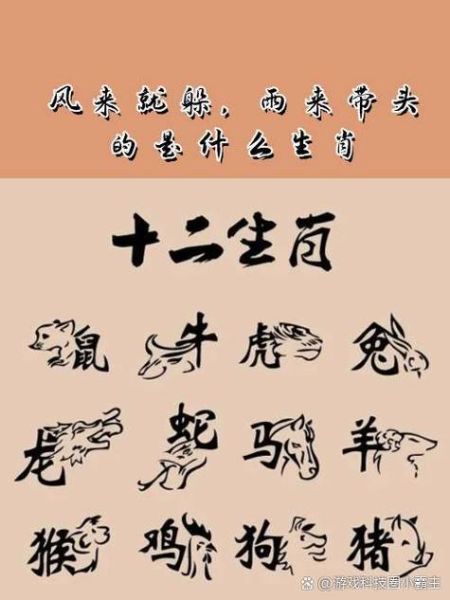 闰岁是什么生肖属相(闰岁是什么生肖属相🐲?2025闰月出生影响大吗)