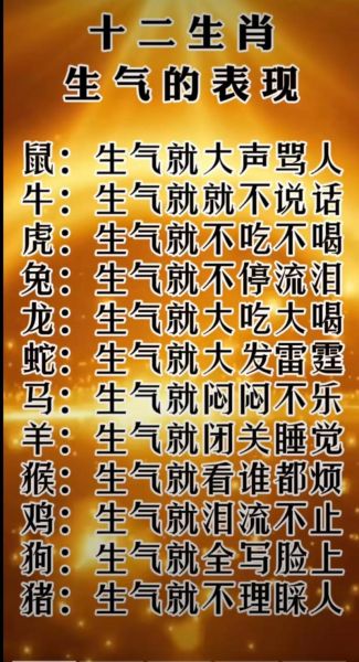 阿婆属什么生肖属相（阿婆属什么生肖查询表）