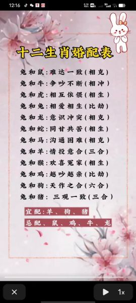 生肖虎和生肖兔属相合吗