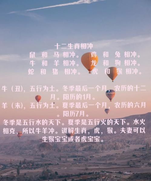 生肖水属相火（生肖属水还是属火？新手一次看懂）