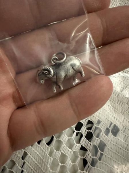 属相生肖银饰（本命年生肖银饰怎么选？看这篇就够了）