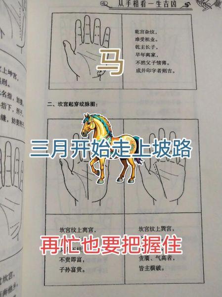 马年怎么判断生肖属相（马年属相怎么算？新手一秒看懂）