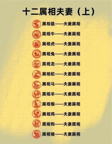 龙生肖属相配对(龙和哪些生肖最配婚姻最稳)