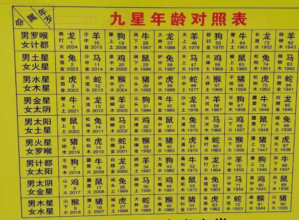 生肖属相价值排名图片（生肖属相价值排名图片2024最新）