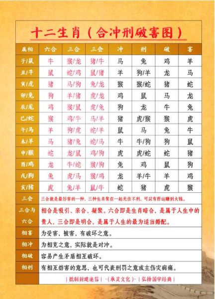 生肖马 和哪个属相相冲（生肖马和哪个属相相冲？小白也能秒懂💨）