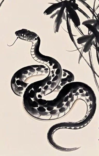 文人属哪个生肖属相（属蛇代表文人气质吗😎）