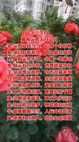 生肖猪财运最佳属相女士（属猪女财运最旺的属相搭配秘籍）