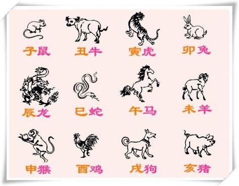 属相卯是什么生肖（属相卯对应的生肖是什么？）