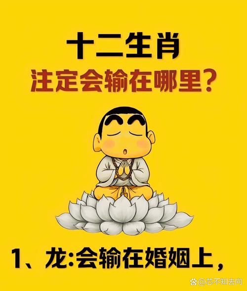 结婚要不要考虑生肖属相（结婚生肖属相要不要看🐭🐲）