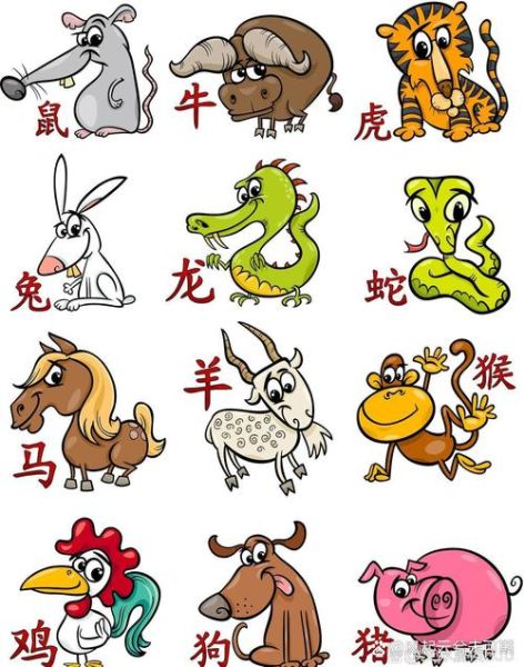 肉字属于什么生肖属相（肉字属于什么生肖属相答案）
