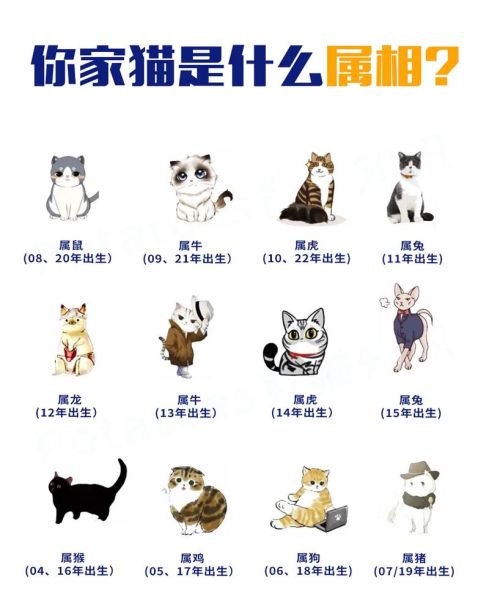 猫是哪几个生肖属相（猫属哪几个生肖？小白必看）