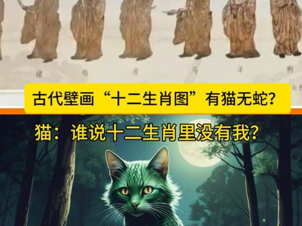 猫是哪几个生肖属相（猫属哪几个生肖？小白必看）