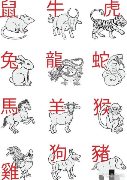 生肖属相详细介绍（属鼠、牛、虎、兔、龙、蛇今日运势如何）