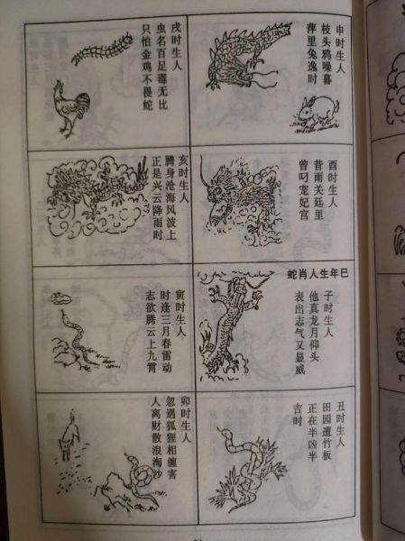 生肖龙和生肖蛇属相合不合（生肖龙和生肖蛇属相合不合？真相🐲🐍）