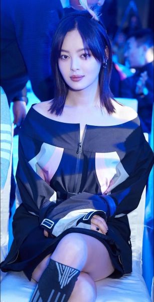 辛芷蕾什么属相生肖（辛芷蕾属什么生肖🐯？）