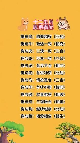 生肖狗相信的属相（生肖狗和什么属相最配）