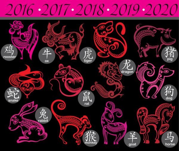 抓大财的生肖属相（2024抓大财的生肖属相排行揭晓）