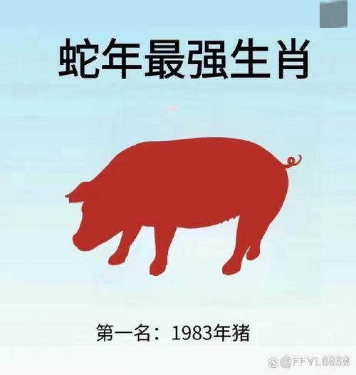 猪哥属相是什么生肖
