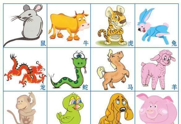 王濛是什么生肖属相