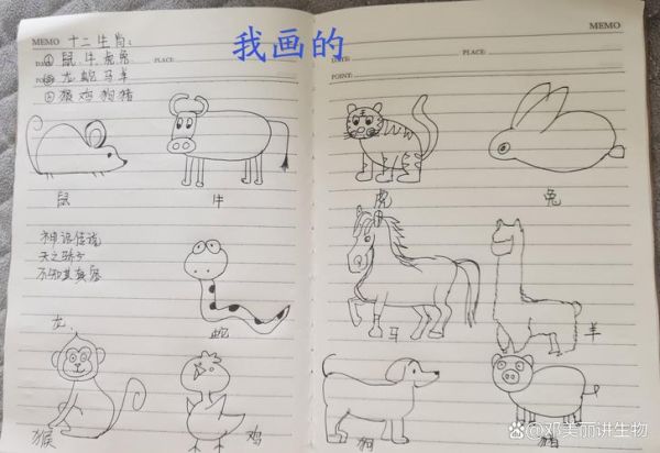 生肖属相大全画画（简单十二属相手绘教程）