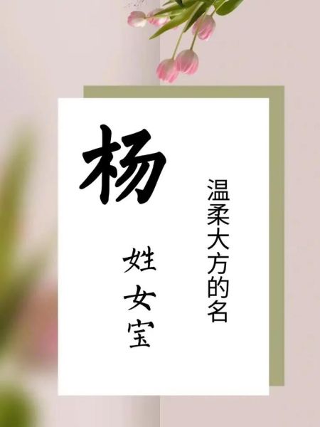 杨子属什么生肖属相呢（杨子属什么生肖）