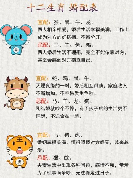 从八字断配偶生肖属相（八字断配偶属相口诀详解💍）