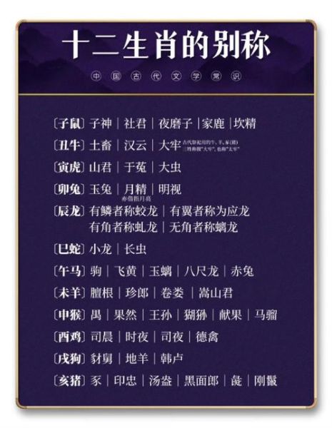 属相全称都有哪些生肖的（12生肖全名叫什么？小白一看就懂版）