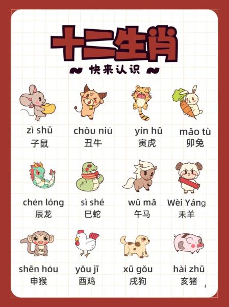 属相全称都有哪些生肖的（12生肖全名叫什么？小白一看就懂版）