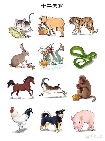 属相 又叫生肖 包括（生肖属相包括哪些动物？）