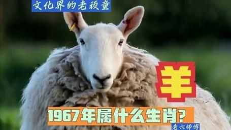 1956年属什么生肖属相（1956年属什么生肖？）