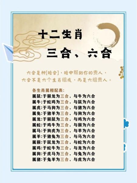 生肖鸡狗属相合吗（生肖鸡狗属相合吗？小白也能看懂的冲突解析）