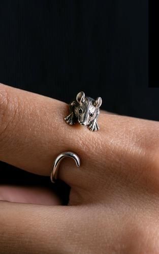 生肖属性戒指有哪些属相（生肖戒指对应哪些属相 🐭🐮🐯）