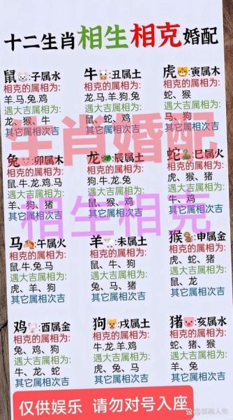 生肖鼠喜欢的属相（生肖鼠最爱什么生肖揭秘）