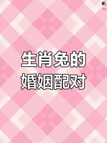 生肖属兔最佳配偶属相（属兔最佳婚配属相是哪几个？）