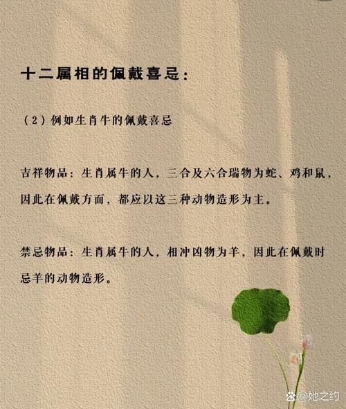 鼠生肖合作属相（鼠生肖最旺的3个合作属相）