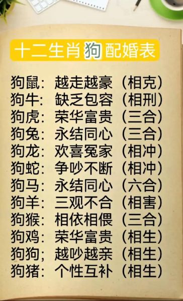 生肖狗相合相克属相（生肖狗相合相克属相全解析）