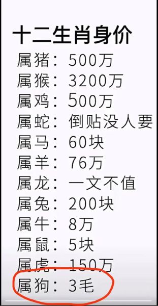 三毛什么生肖属相（三毛到底属什么生肖）