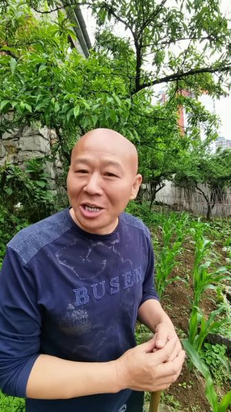 杨亚东属什么生肖属相（杨亚东生肖属相是什么，一文看懂）